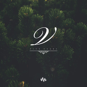 成人区精品一区二区婷婷
