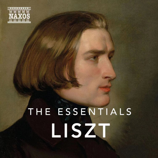 成人区精品一区二区婷婷
